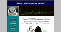 Desktop Screenshot of kestreltscm.com